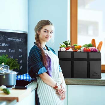 6. BlueVoy Insulated Food Delivery Bag