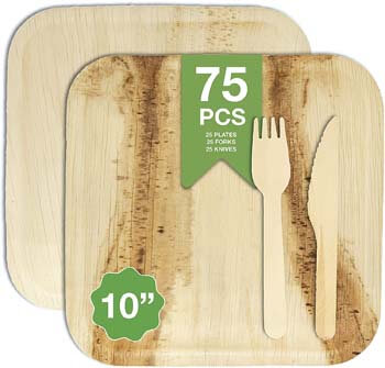 10. The Giving Plate Co - Palm Leaf Plates 10 inch