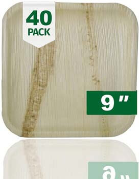 5. Palm Naki Square Palm Leaf Plates