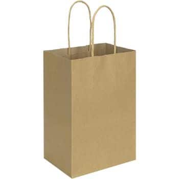 4. 100pack Brown Small Paper Bags with Handles Bulk