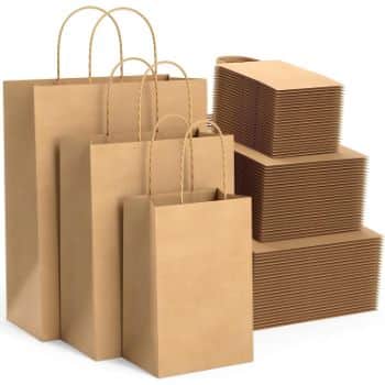 2. BagKraft Brown Paper Bags with Handles